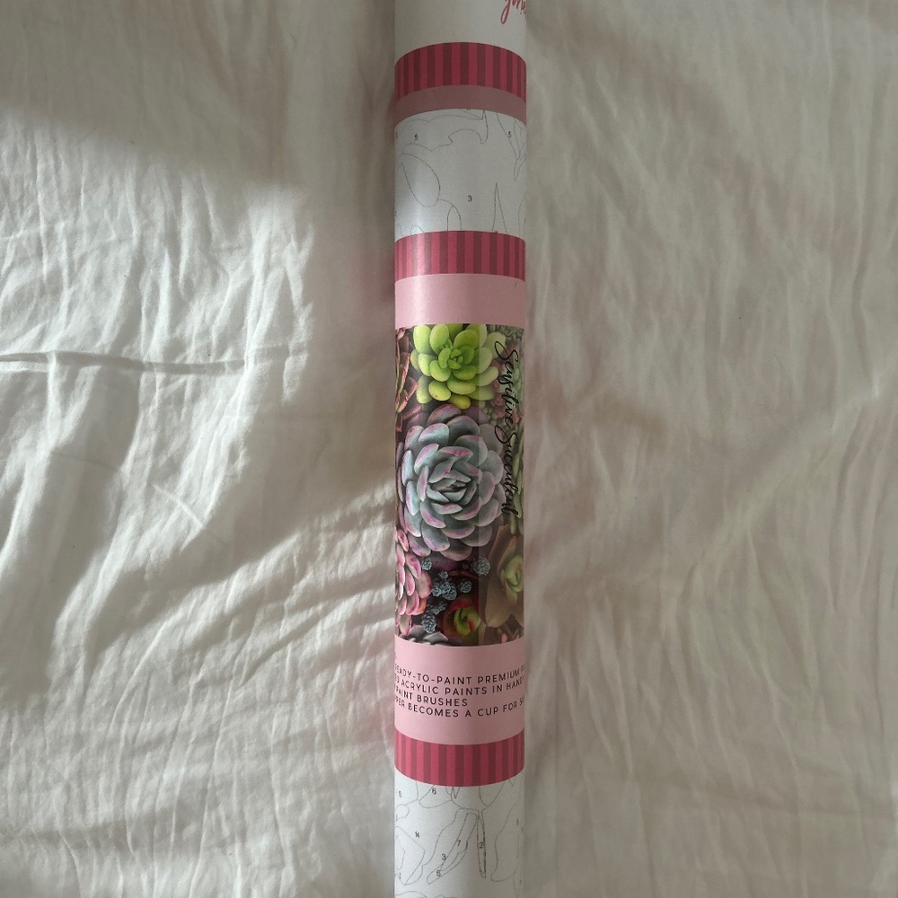 Pink Picasso paint by numbers kits, sensitive succulent